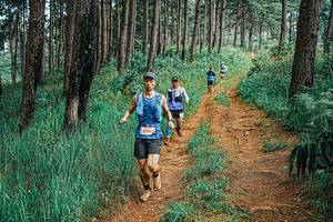 BIB: 
                            <button type="button" onclick="openModal(25664492)" class="btn btn-primary btn-sm float-right btn-popup" data-toggle="modal" data-target=".modal-high-quality">
                        <i class="fas fa-shopping-cart"></i> Add to Cart
                    </button>
                                            <button type="button" onclick="isThisMe(25664492, true)" class="btn btn-success btn-sm float-right btn-popup btn-isme hidden" data-toggle="tooltip" data-placement="bottom" title="นี่คือรูปของคุณใช่ไหม คลิกที่นี่เพื่อเอาเข้าอัลบั้ม">
                        <i class="fas fa-plus"></i> Add to album
                    </button>
                    <button type="button" onclick="isThisMe(25664492, false)" class="btn btn-warning btn-sm float-right btn-popup btn-isnotme hidden">
                        <i class="fas fa-ban"></i> Remove from album
                    </button>